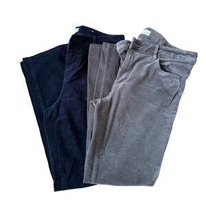 LOFT Women's Corduroy Curvy Skinny Jeans Size 30/10 2 Pack Blue and Gray